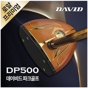 파크골프 채 추천